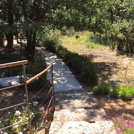 Vila Le Bois De La Cour Roussillon en Isere Exteriér fotografie